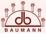 Baumann Schwibbogen