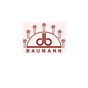 Baumann Schwibbogen