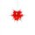 Herrnhuter Weihnachtsstern I4 weiß mit rotem Kern