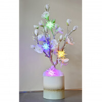 Herrnhuter Weihnachtsstern Buntes LED Set